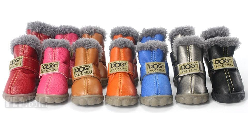 Puppy Uggs - karuna