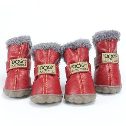 Puppy Uggs - karuna