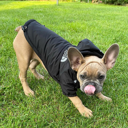 Dog Rain Jacket With Hood - karuna