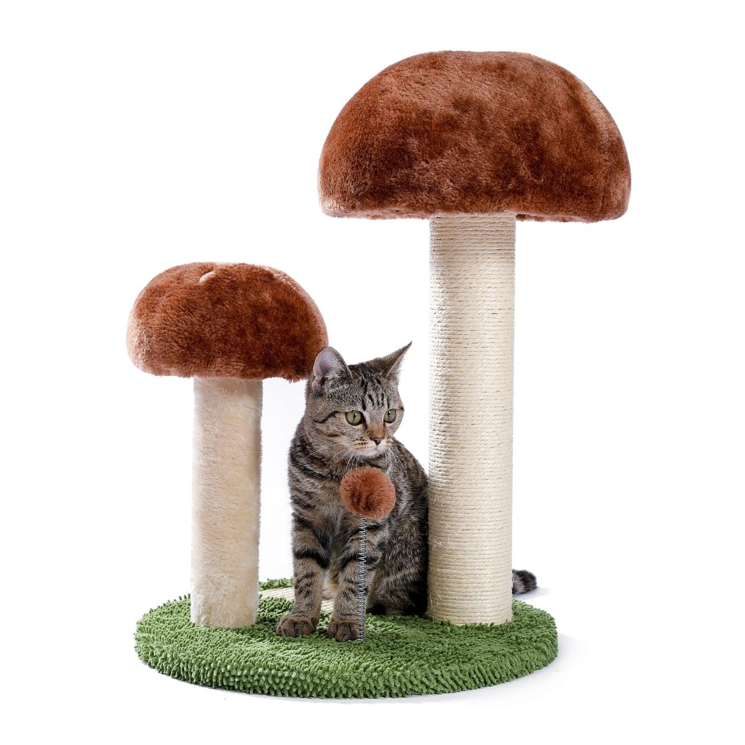 Cat Condo Scratching Post - karuna