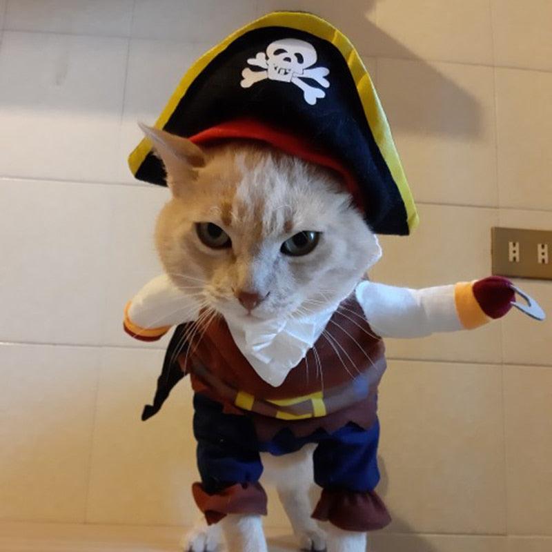 Captain Hook Dog Costume - karuna