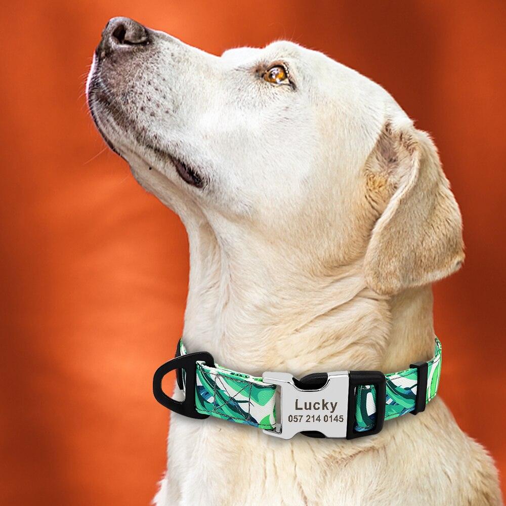 Personalized Dog Collar - karuna