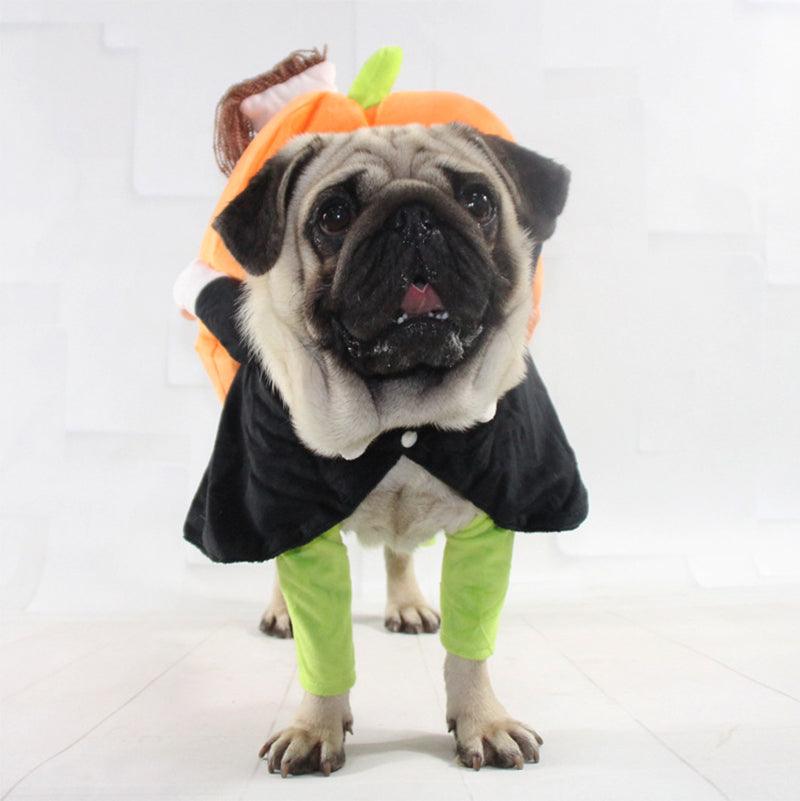 Dog Pumpkin Outfit - karuna