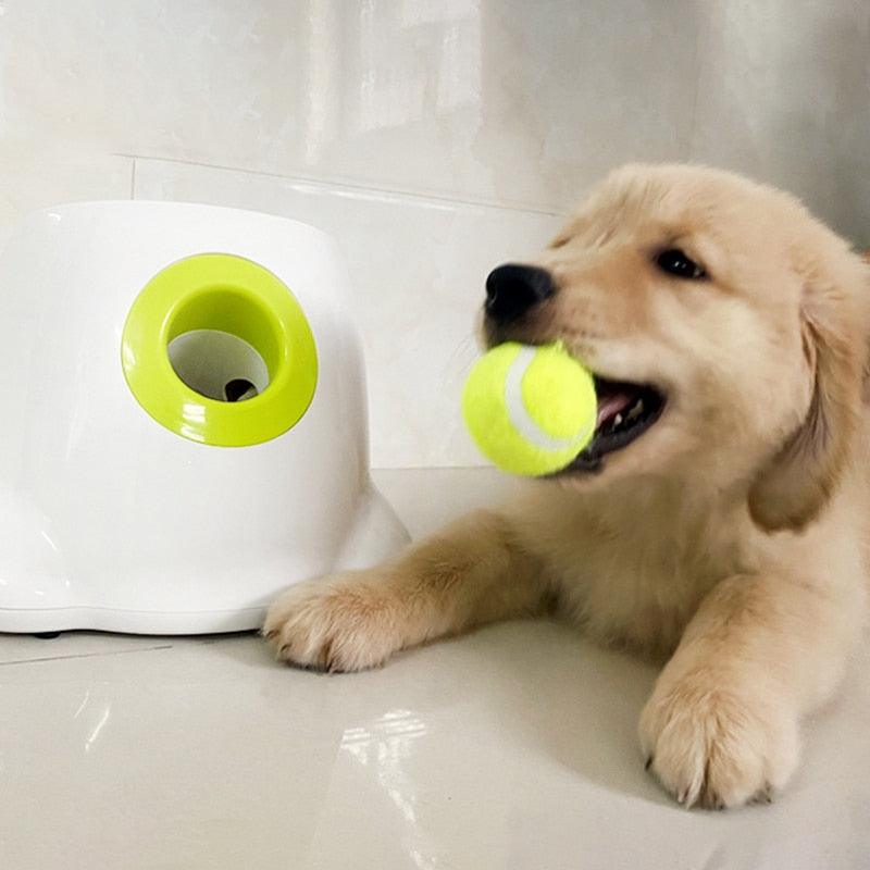 Best dog outlet ball launcher