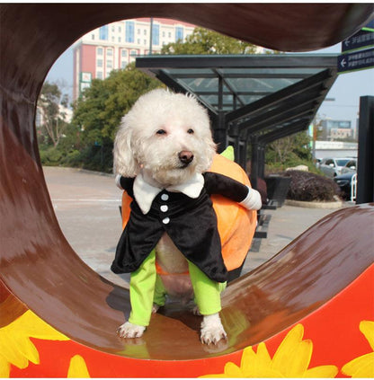 Dog Pumpkin Outfit - karuna