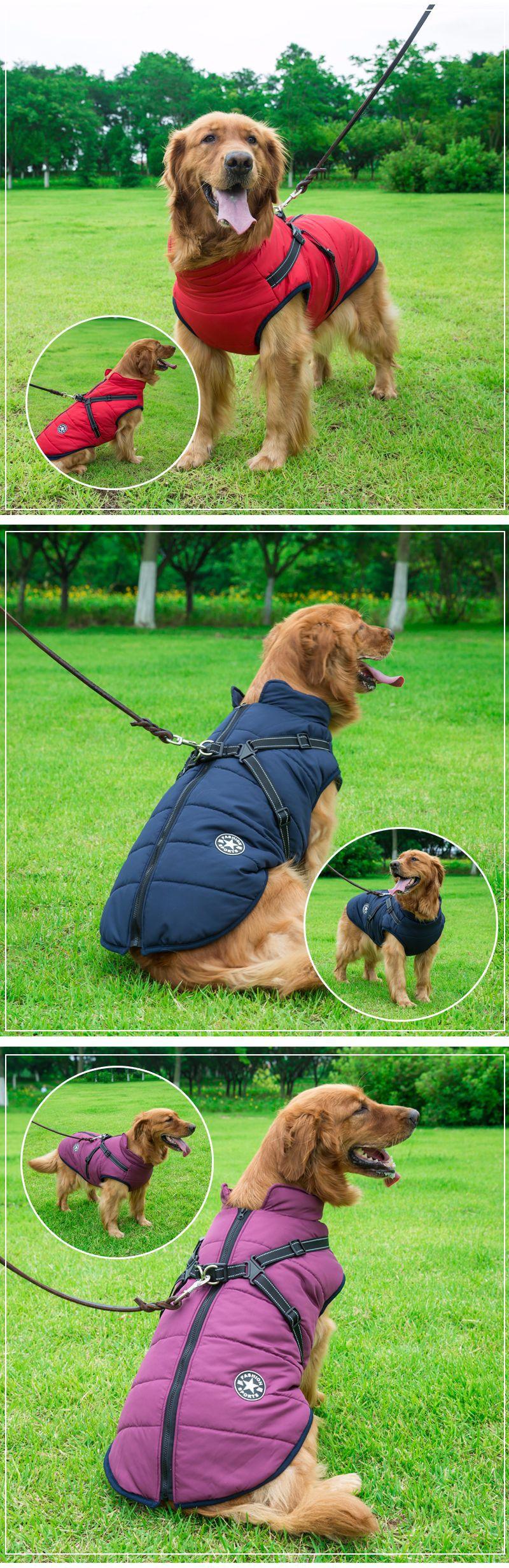 Dog Vest With Handle - karuna