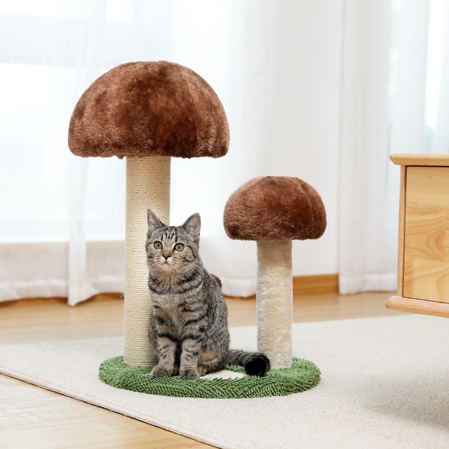 Cat Condo Scratching Post - karuna