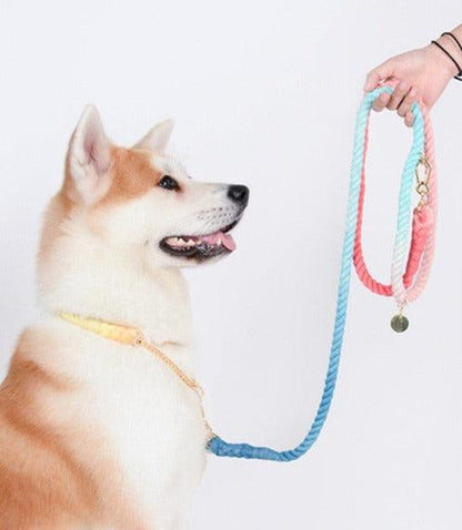 Rainbow Dog Leash - karuna