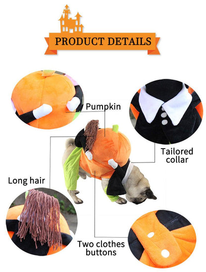 Dog Pumpkin Outfit - karuna