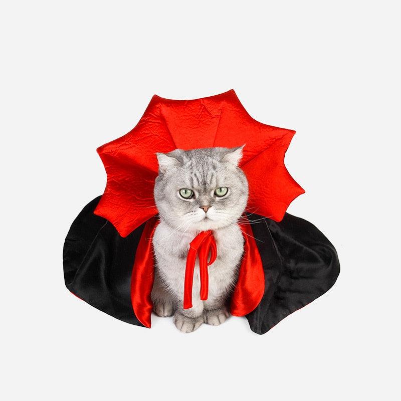 Cat Vampire Costume - karuna