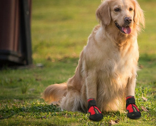 Dog Shoes For Walking