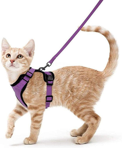 Best Cat Harness and Leash - karuna