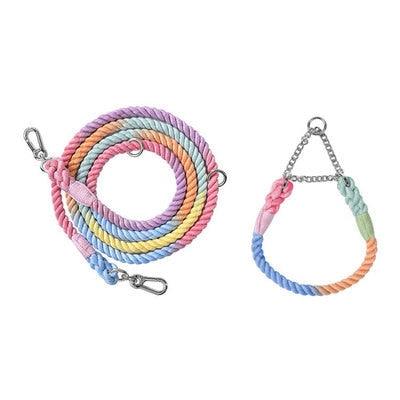 Rainbow Dog Leash - karuna