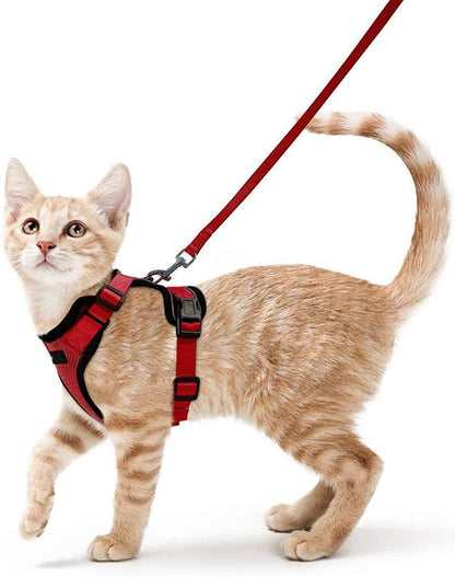 Best Cat Harness and Leash - karuna