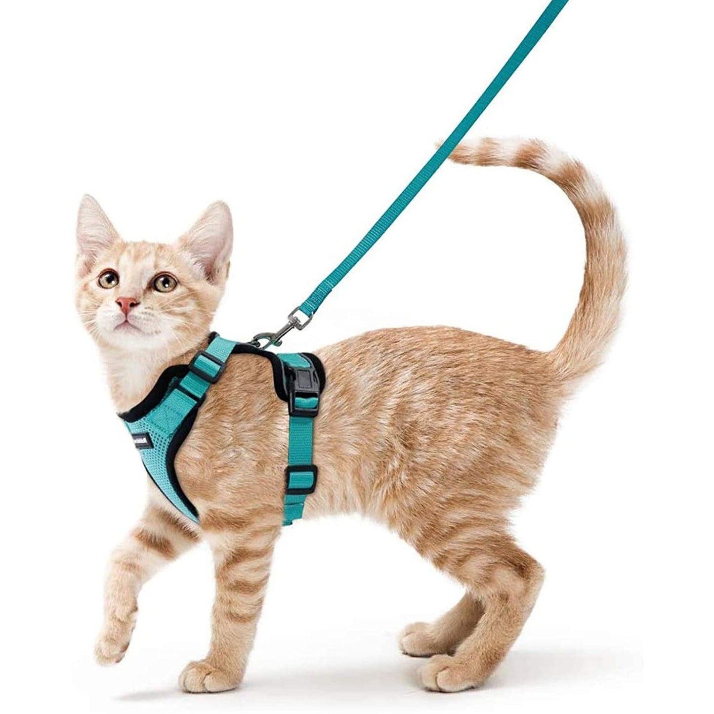 Best Cat Harness and Leash - karuna