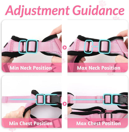 Best Cat Harness and Leash - karuna