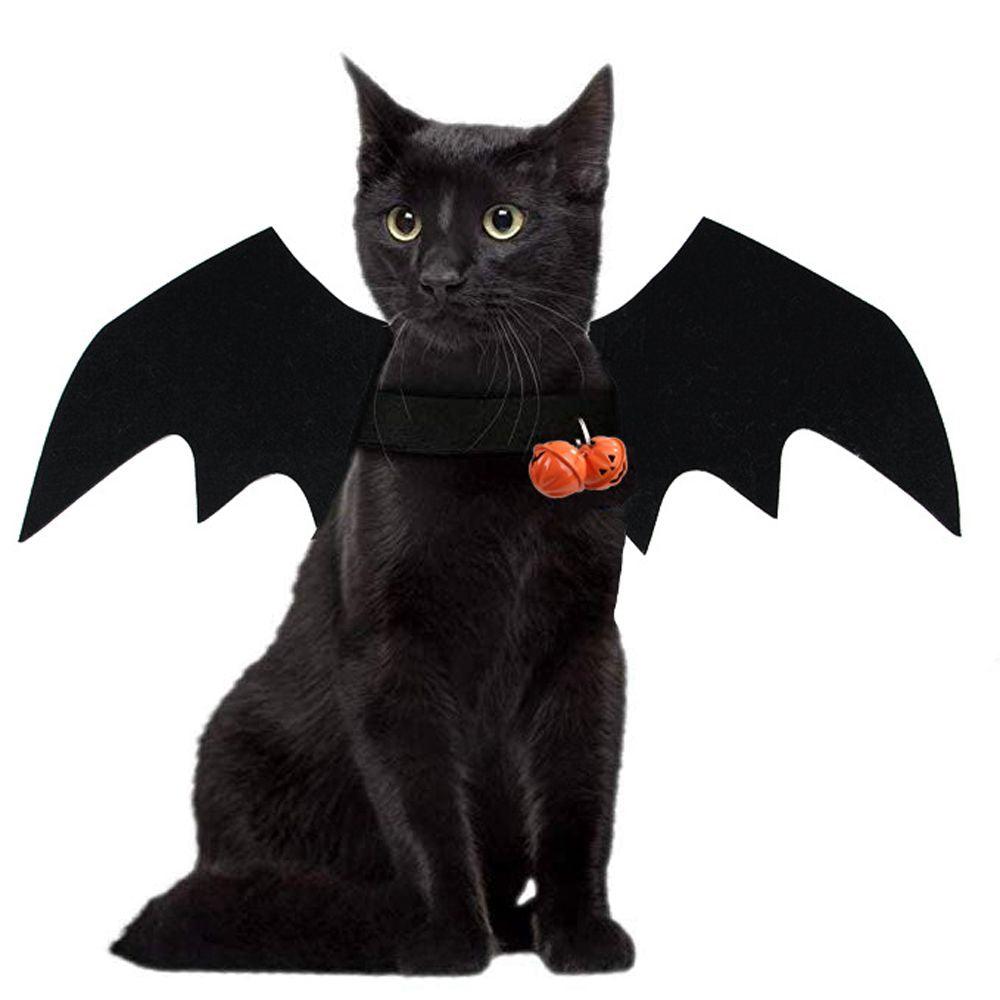 Cat Bat Costume - karuna