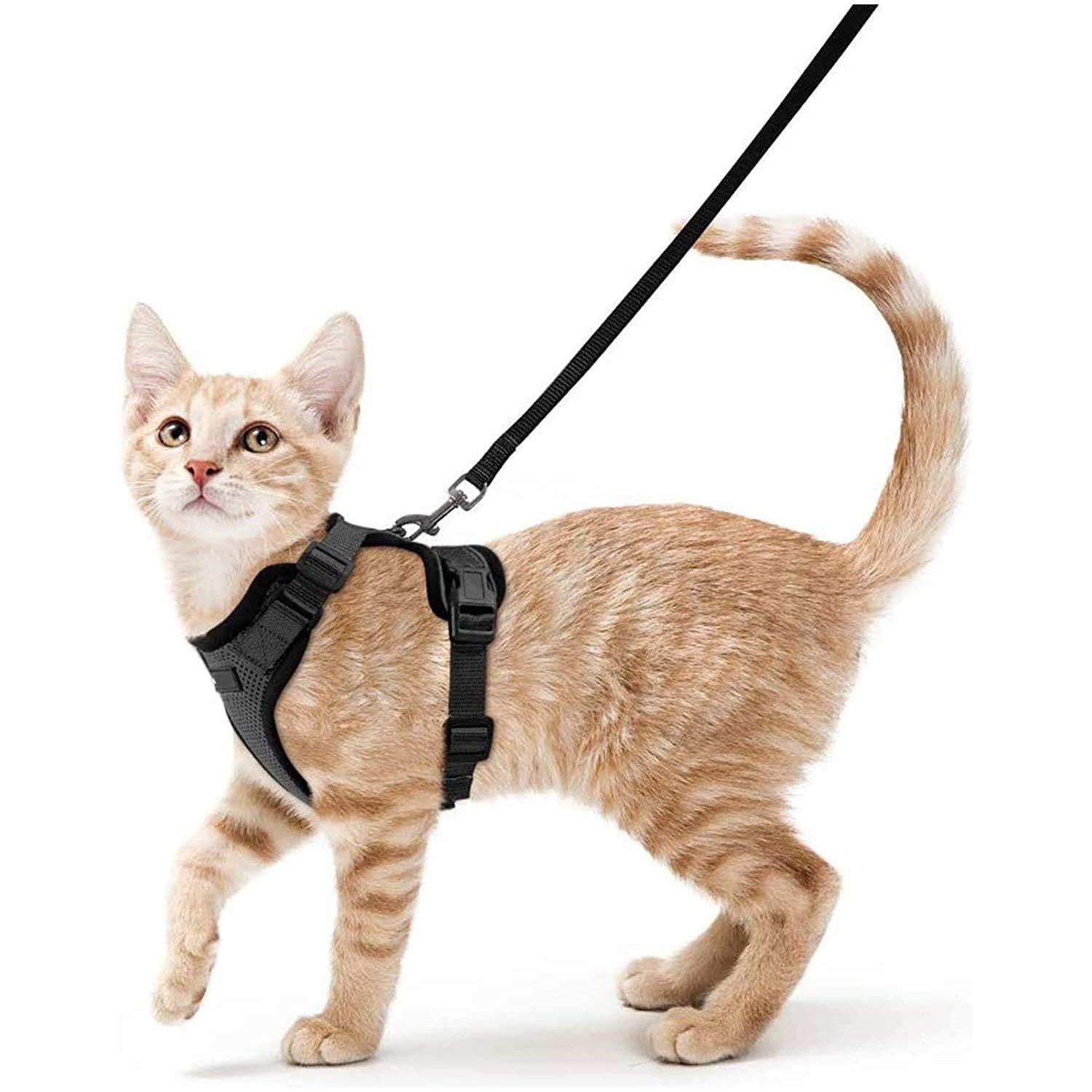 Best Cat Harness and Leash - karuna