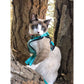 Best Cat Harness and Leash - karuna