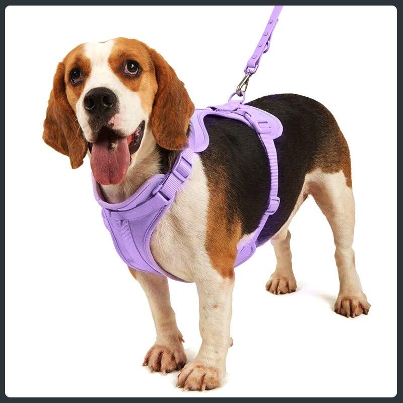 Neoprene dog hot sale harness