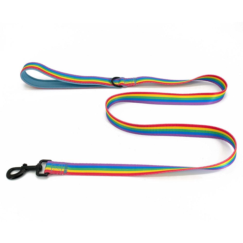 Rainbow Dog Harness - karuna