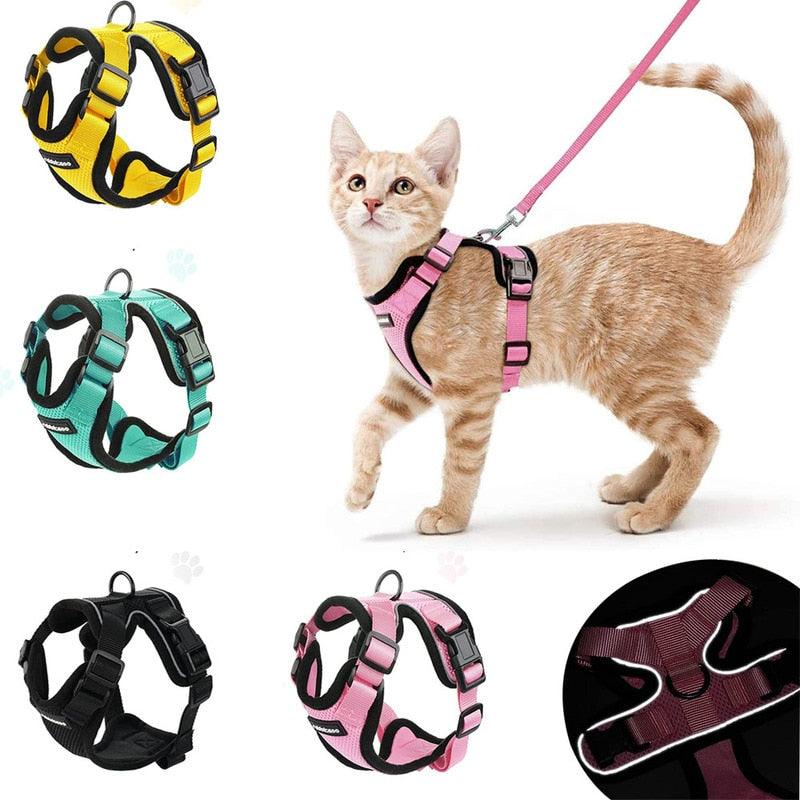 Best Cat Harness and Leash - karuna