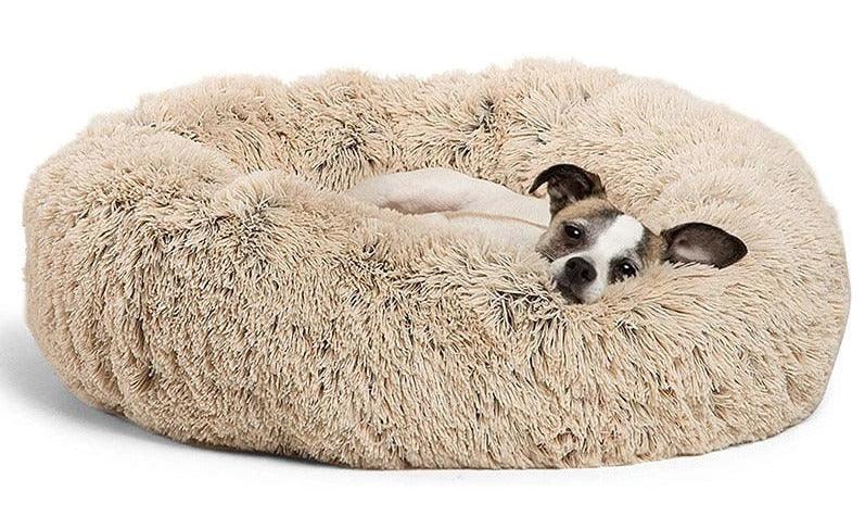 Calming Pet Bed - karuna