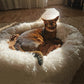 Calming Pet Bed - karuna