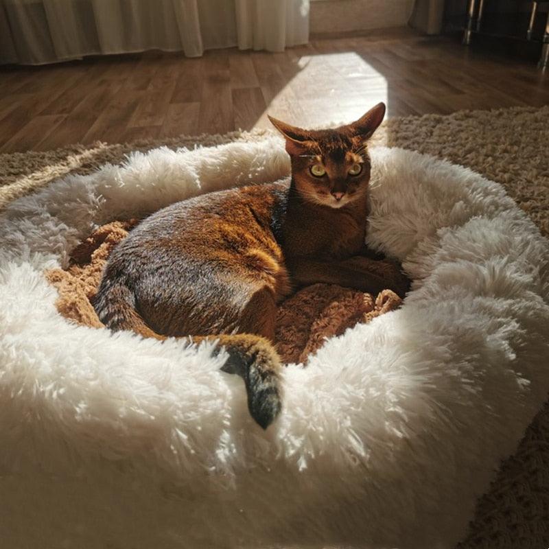 Calming Pet Bed - karuna