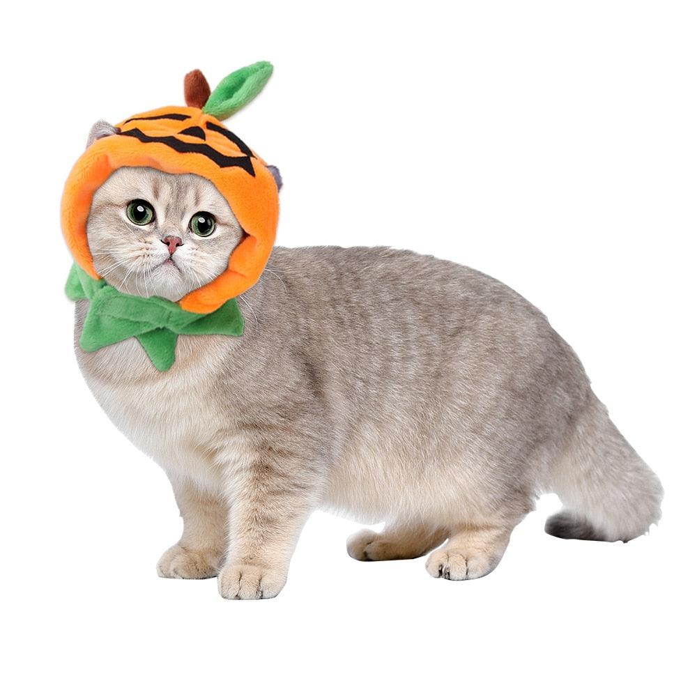 Cat Flower Hat - karuna