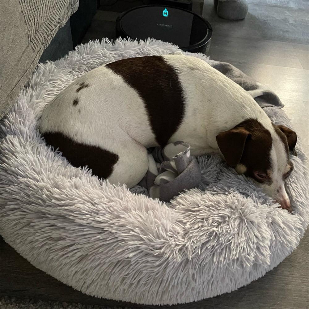 Calming Pet Bed - karuna