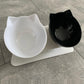 Best Elevated Cat Bowls - karuna