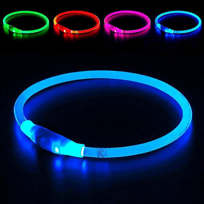 Glowing Dog Collar - karuna