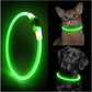 Glowing Dog Collar - karuna