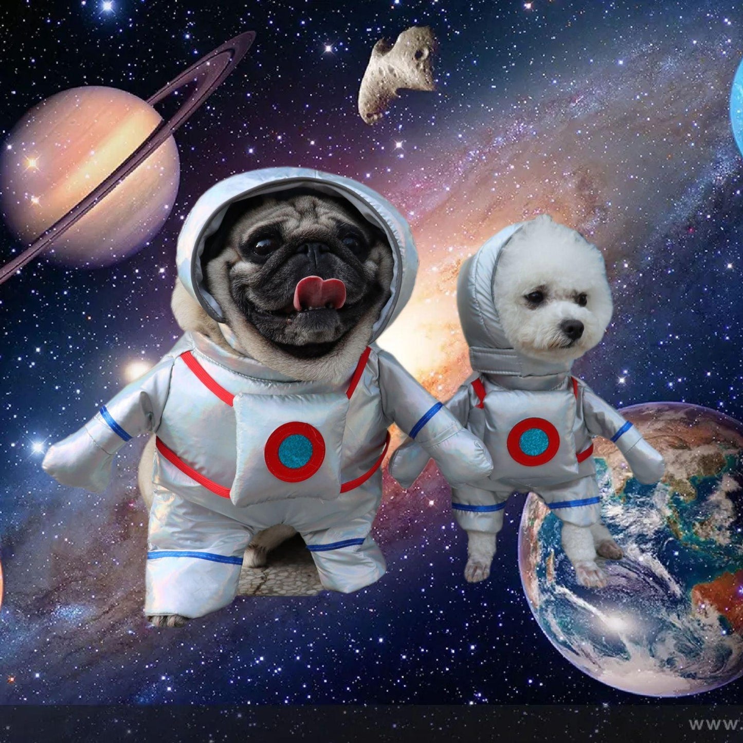 Astronaut Pet Costume - karuna