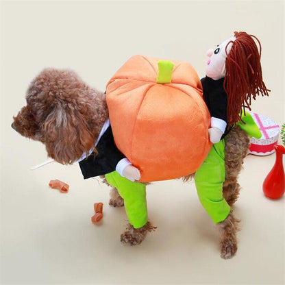 Dog Pumpkin Outfit - karuna