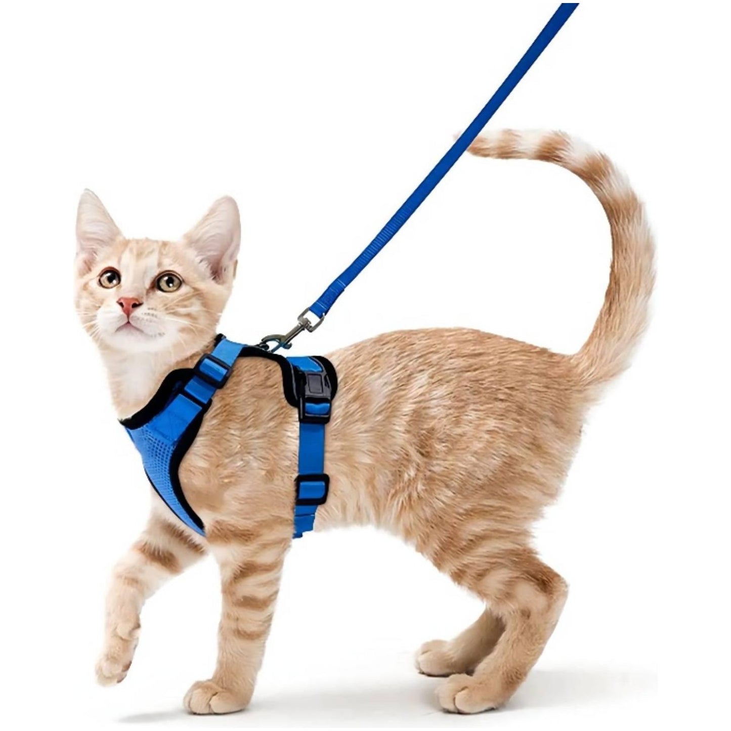 Best Cat Harness and Leash - karuna