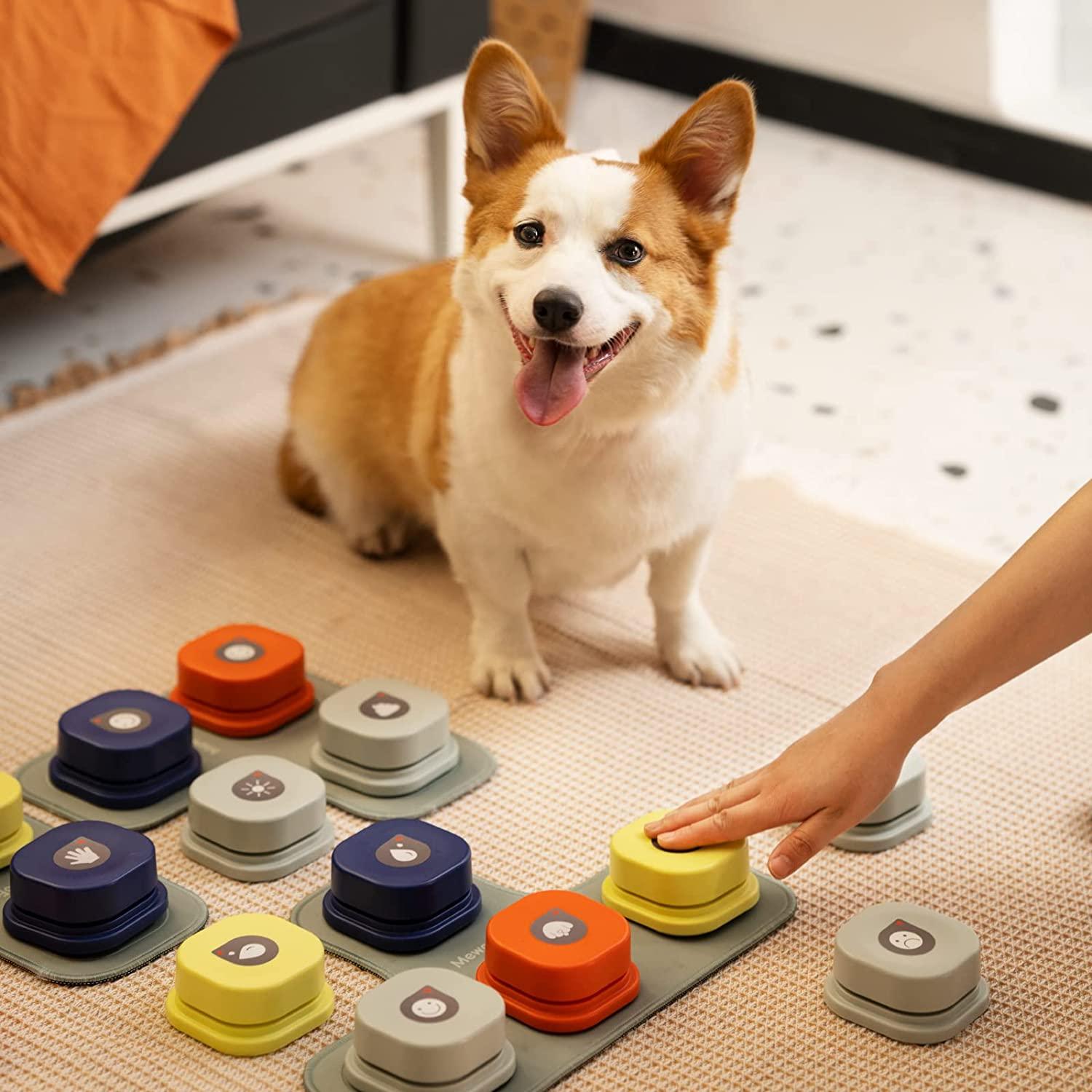 Dog Talking Buttons Mat - karuna