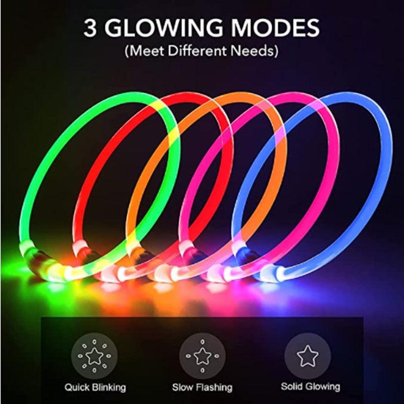 Glowing Dog Collar - karuna