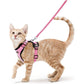 Best Cat Harness and Leash - karuna