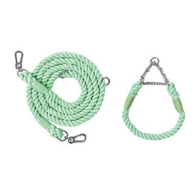 Rainbow Dog Leash - karuna