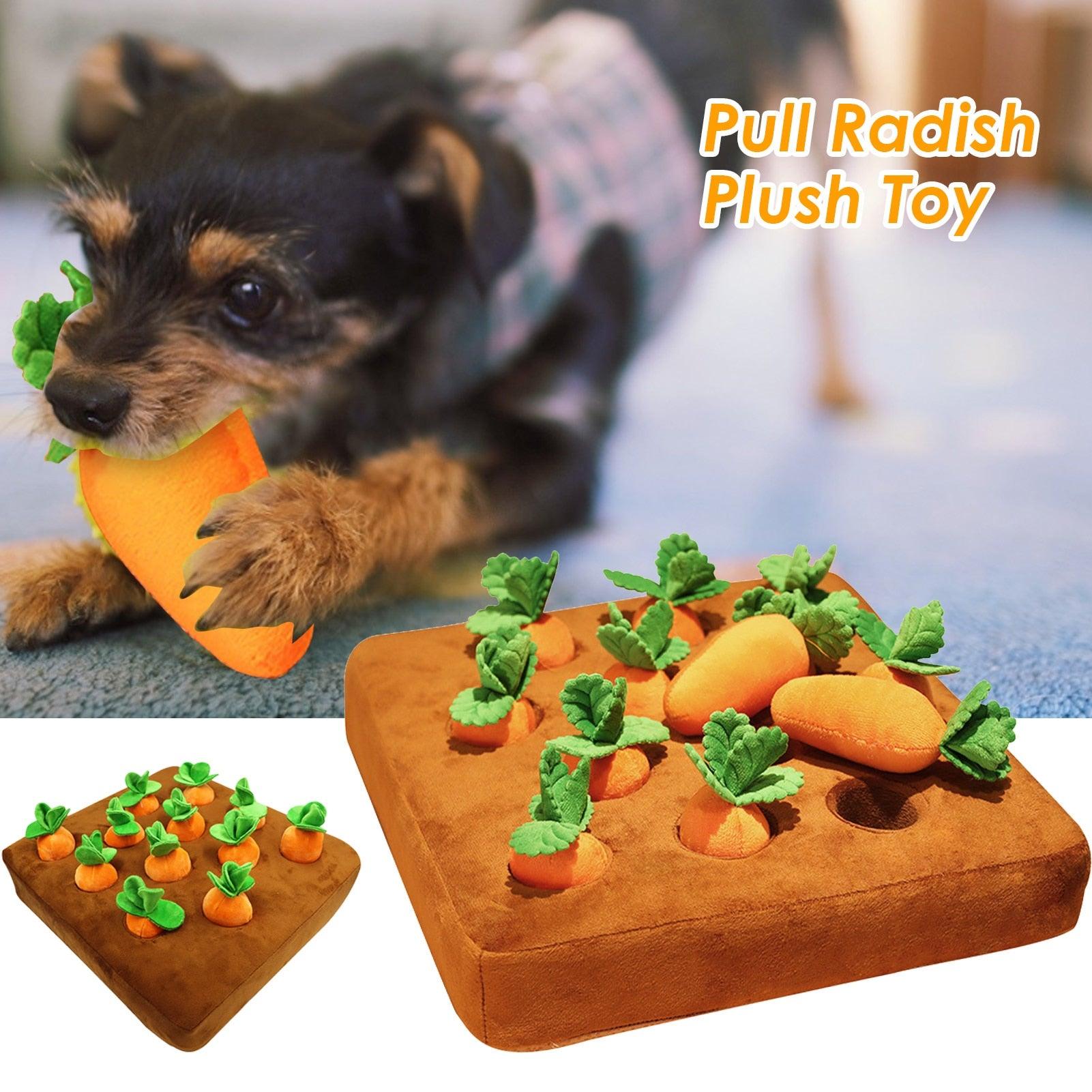 Sniff toys for dogs - karuna