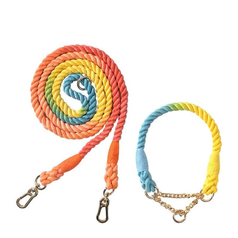 Rainbow Dog Leash - karuna