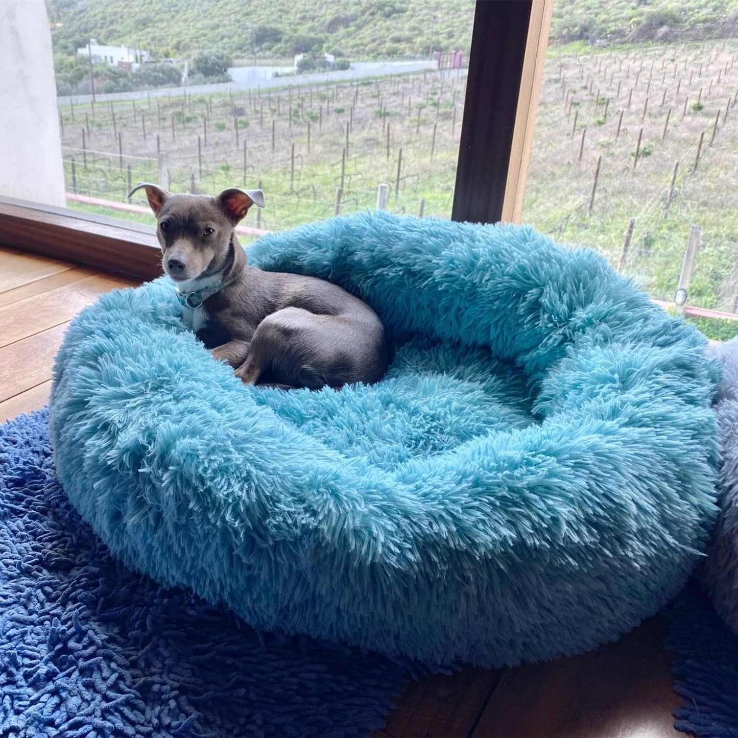 Calming Pet Bed - karuna