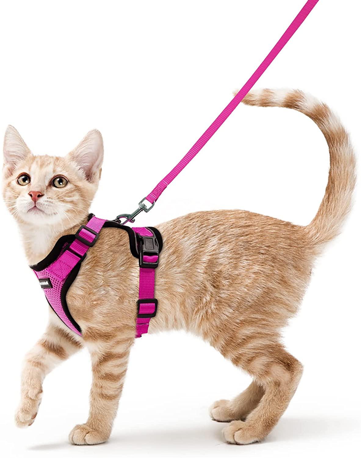 Best Cat Harness and Leash - karuna