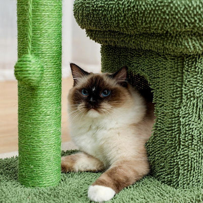 Cat Condo Scratching Post - karuna