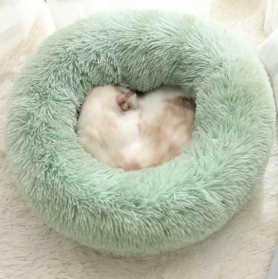 Calming Pet Bed - karuna