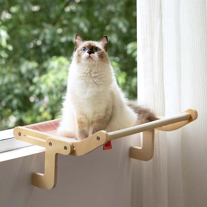 Best cat hot sale window perch