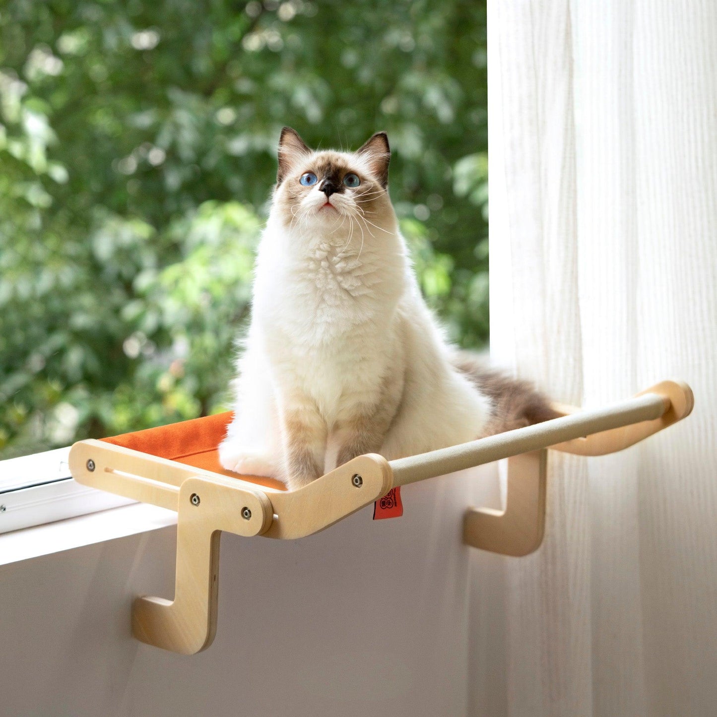 Best Cat Window Perch - karuna