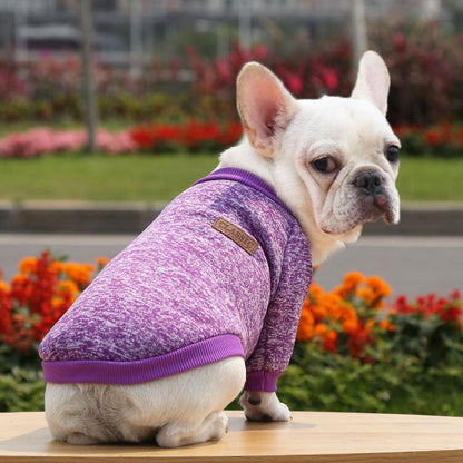 Dog winter sweater - karuna